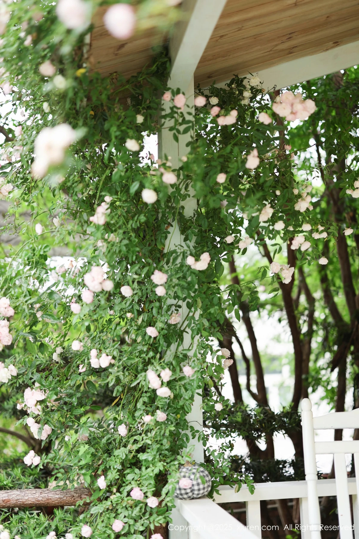 [XiuRen] 2025.04.29 No.10215 #[83P]-4